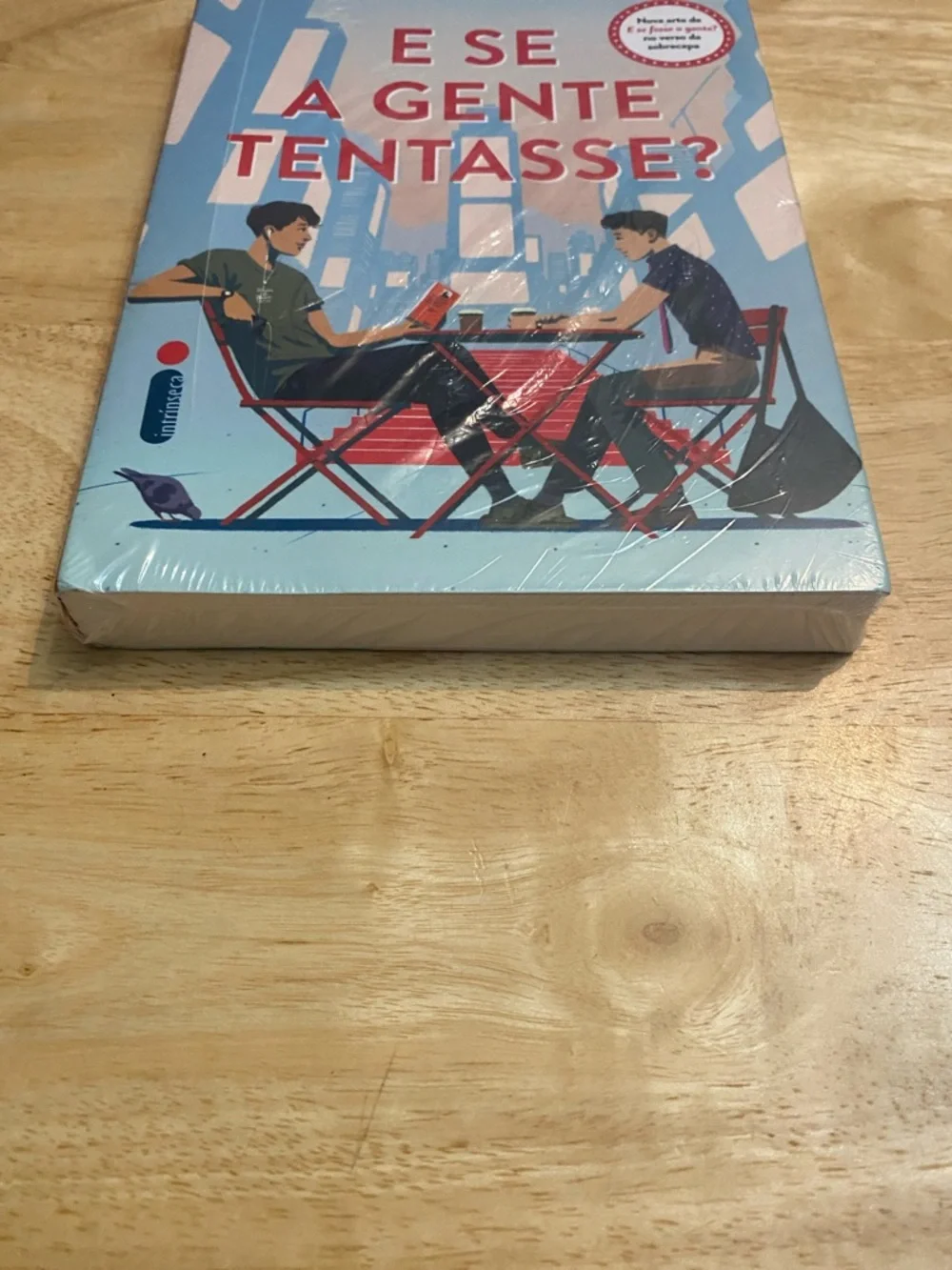 E Se A Gente Tentasse? Becky Albertalli & Adam Silvera Paperback Book